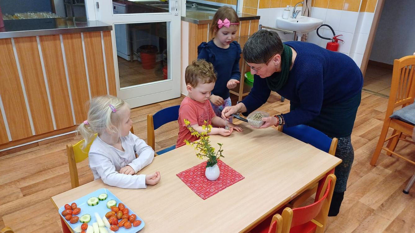 ptačí hodinka s paní šedovou - 4