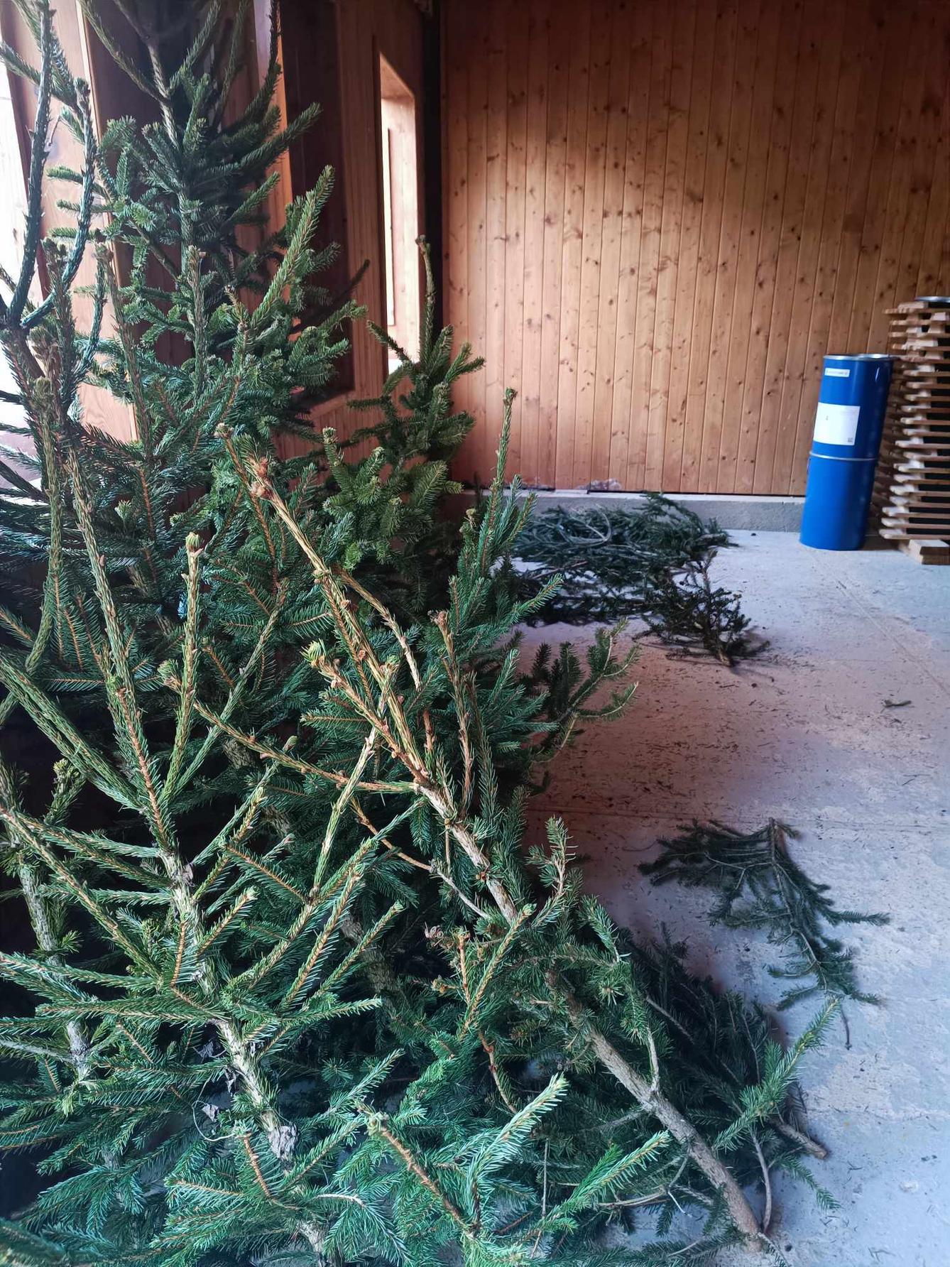 ŘÍJEN A LISTOPAD ve 2. oddělení a společné akce - 27