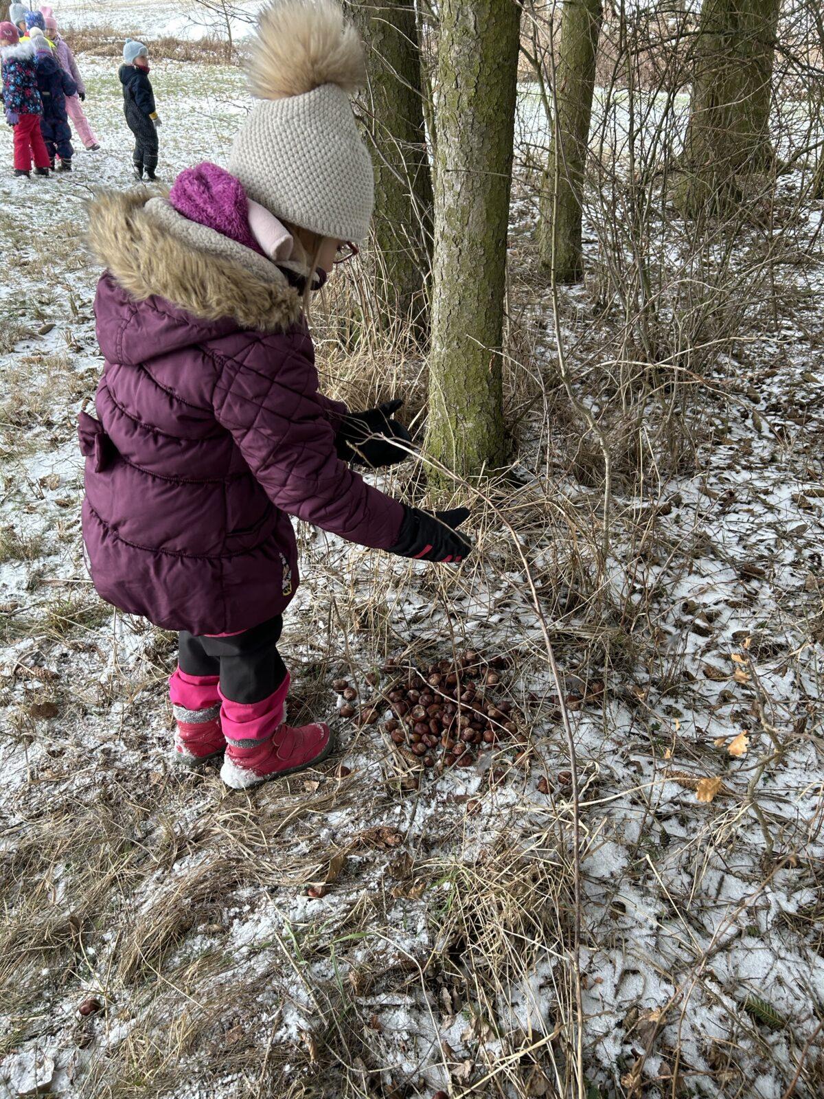 SOVIČKY: ,,ZVÍŘATA A PTÁCI V ZIMĚ" - 46