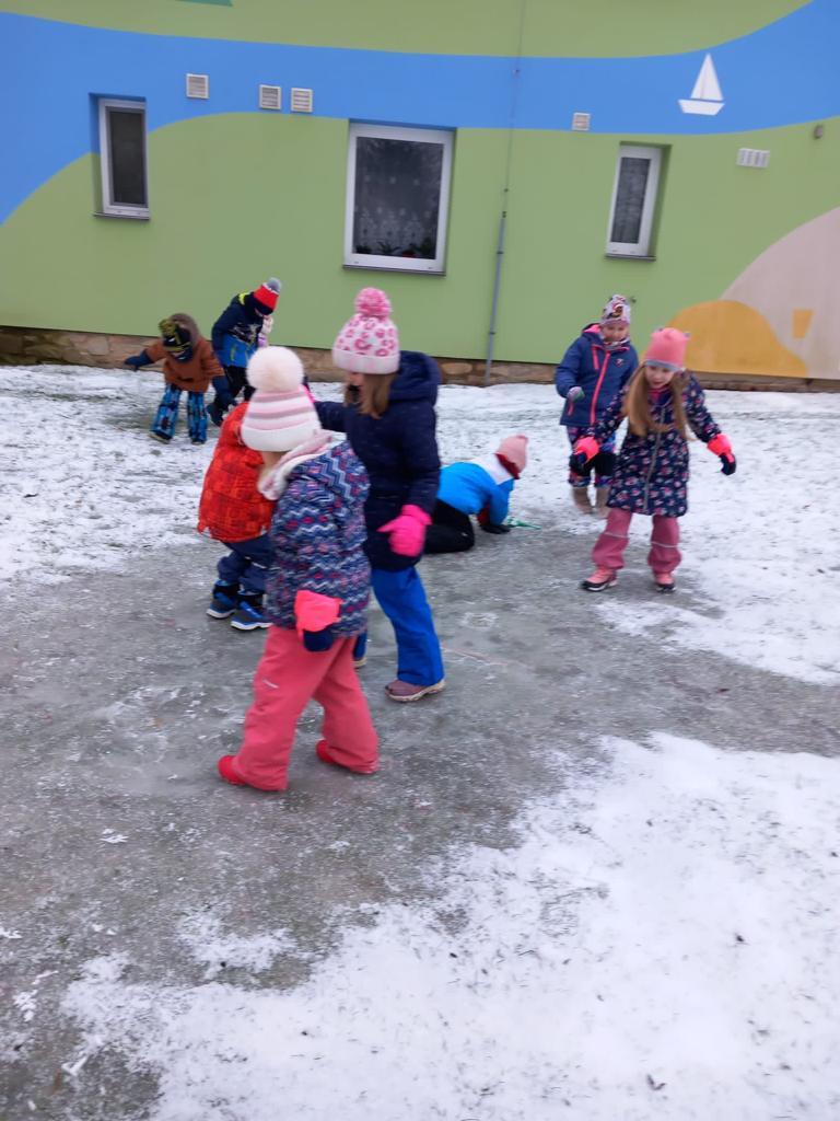 hry na ledu a krmení ptáčků - 8