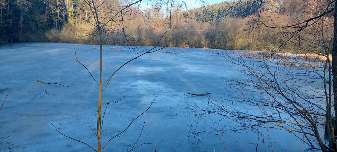 Výšlap na Mysliveckou chatu - 8