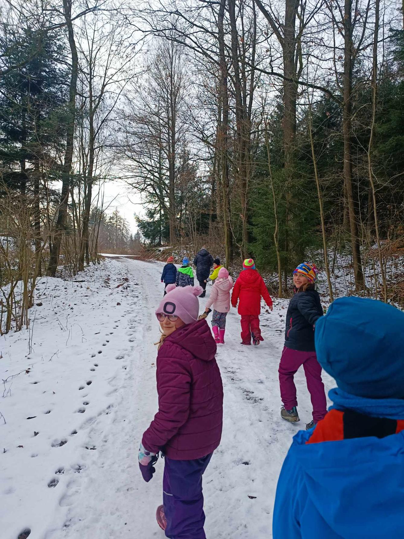 VZCHÁZKA K LESU - DRUŽINKA - 1