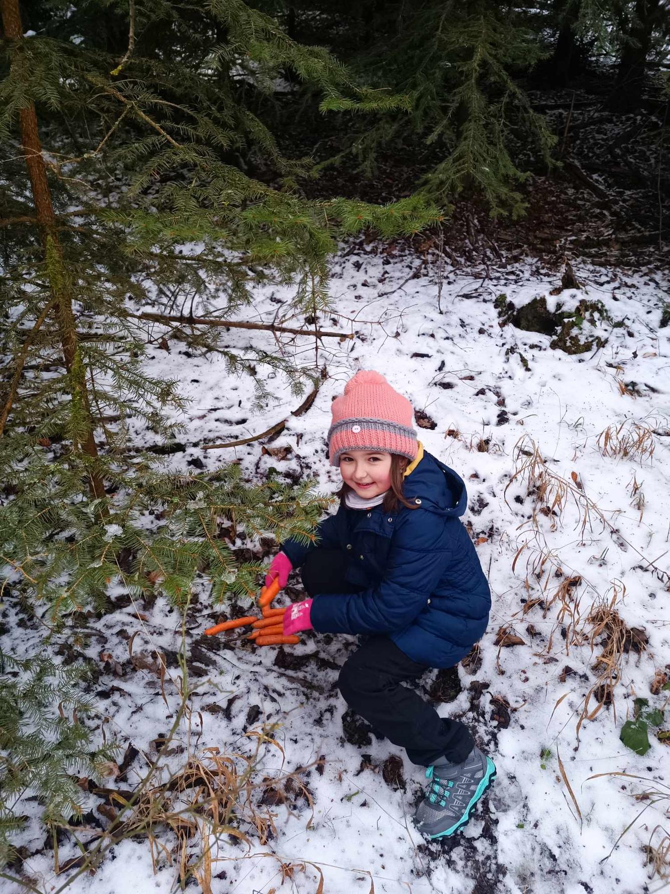 VZCHÁZKA K LESU - DRUŽINKA - 2