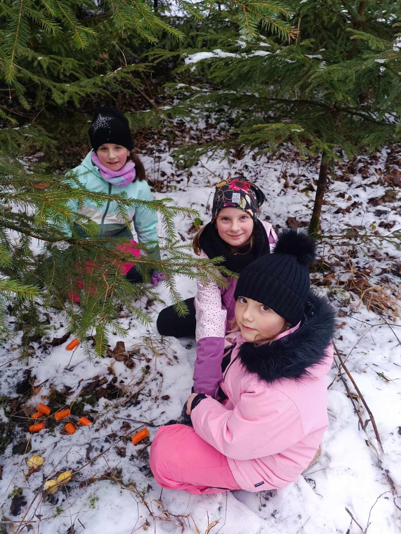 VZCHÁZKA K LESU - DRUŽINKA - 5