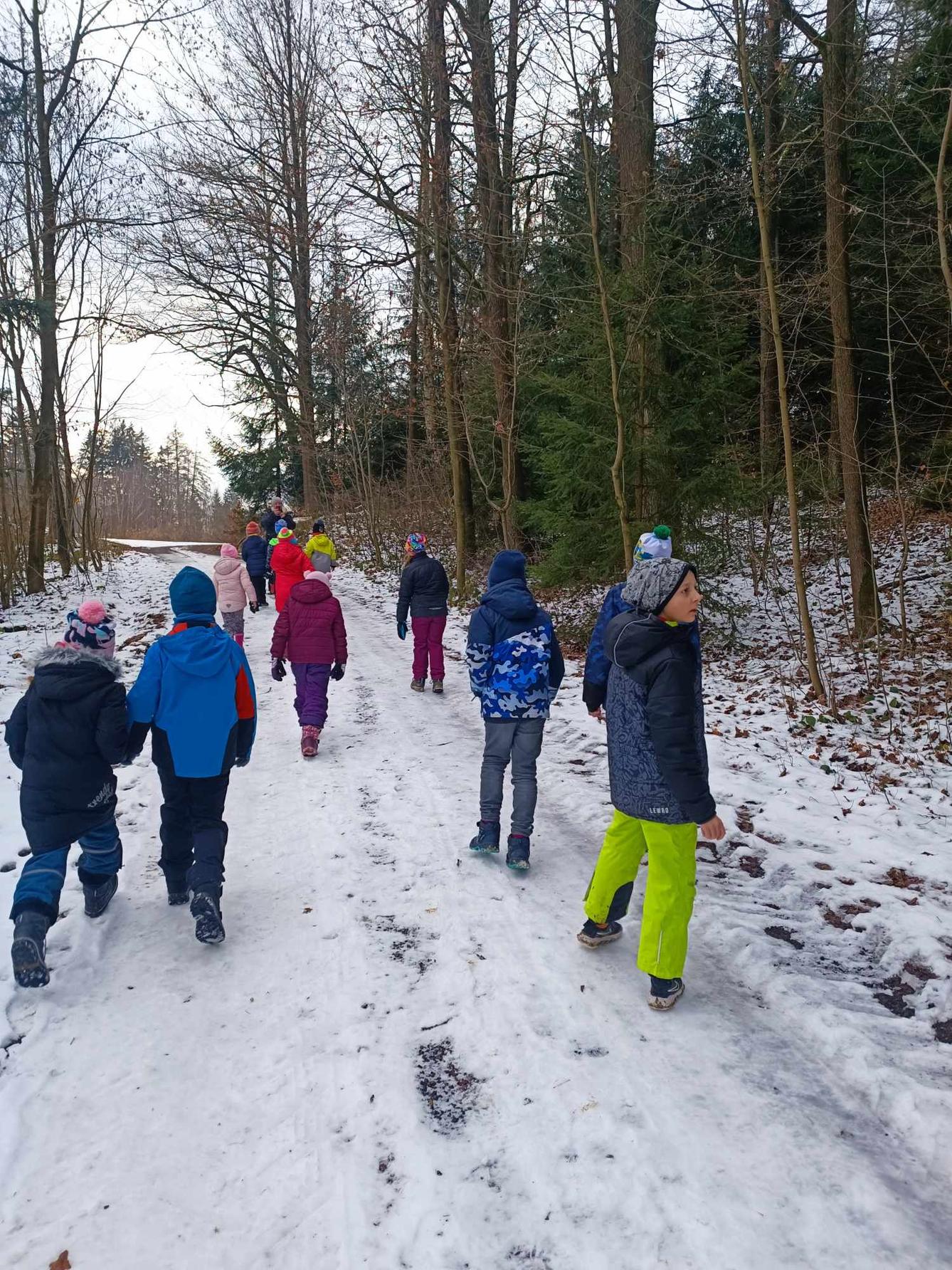 VZCHÁZKA K LESU - DRUŽINKA - 14