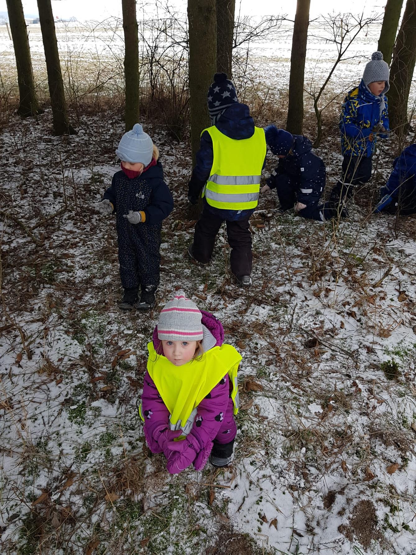 SOVIČKY: ,,ZVÍŘATA A PTÁCI V ZIMĚ" - 47