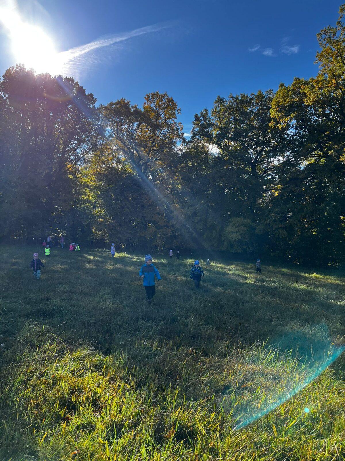 procházka do kaštánky - 3