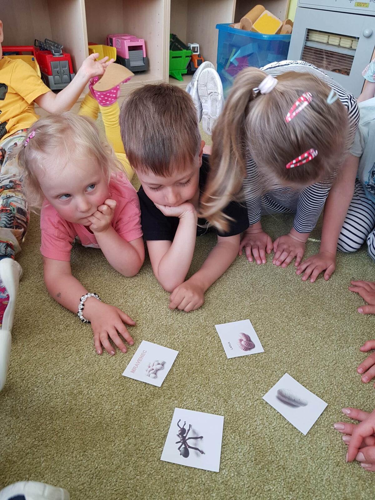 BROUČCI: ,,CO SI BROUKÁ JARNÍ LOUKA" - 6