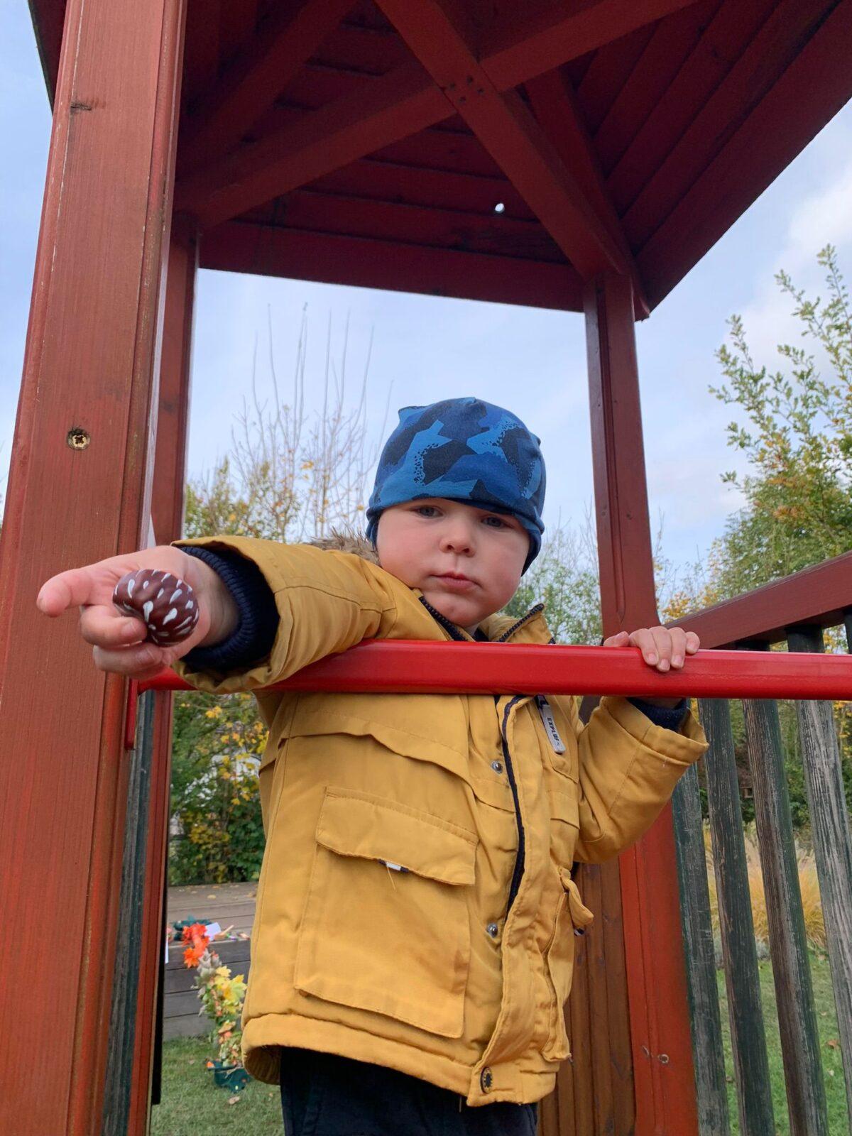 hledání podzimníčků - 12