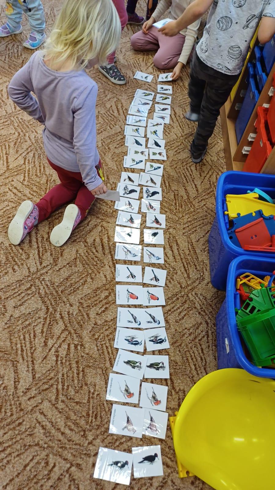 ptačí hodinka s paní šedovou - 6