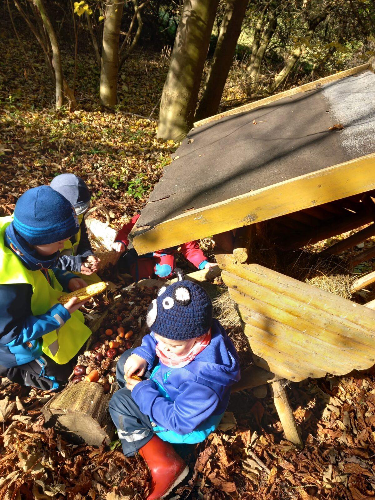 krmení zvířátek v lese - 4