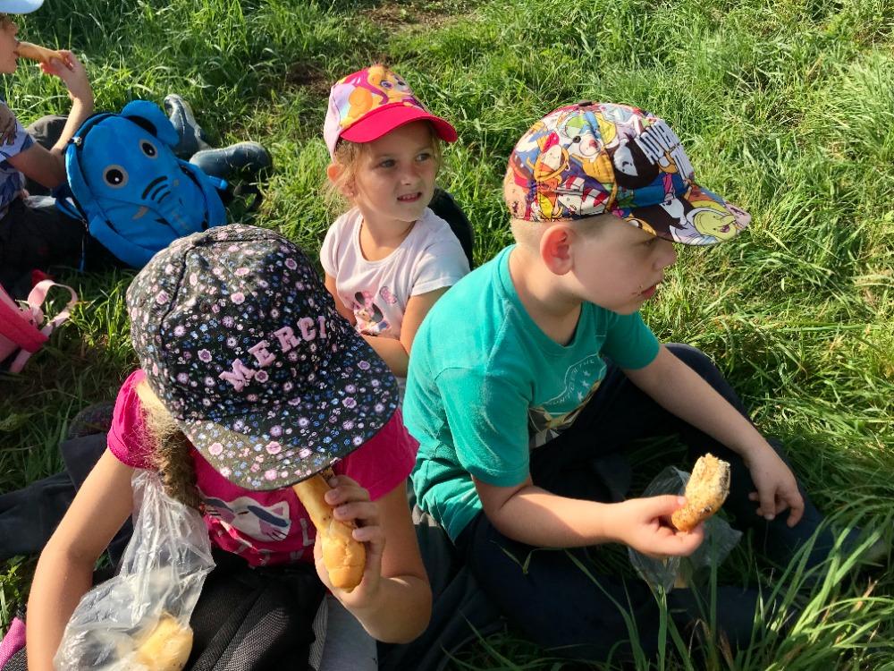 SOVIČKY: VÝPRAVA DO LESA - 24