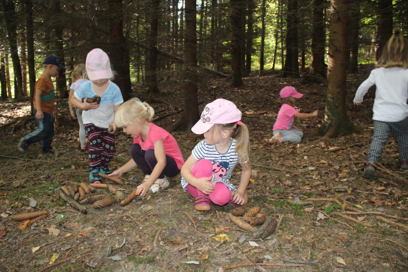 broučci: lesní dobrodružství se sovičkou jůlinkou - 31