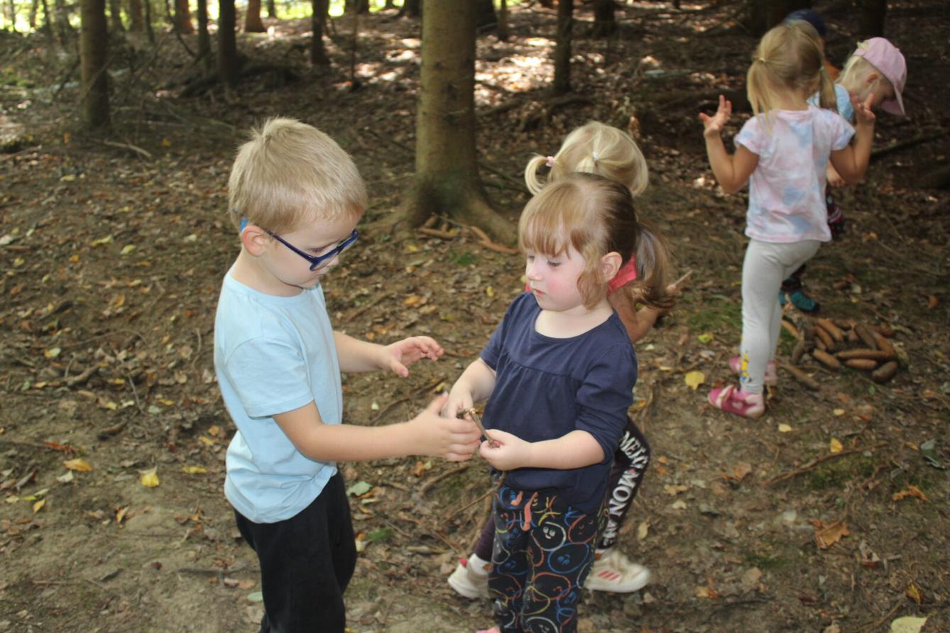 broučci: lesní dobrodružství se sovičkou jůlinkou - 33