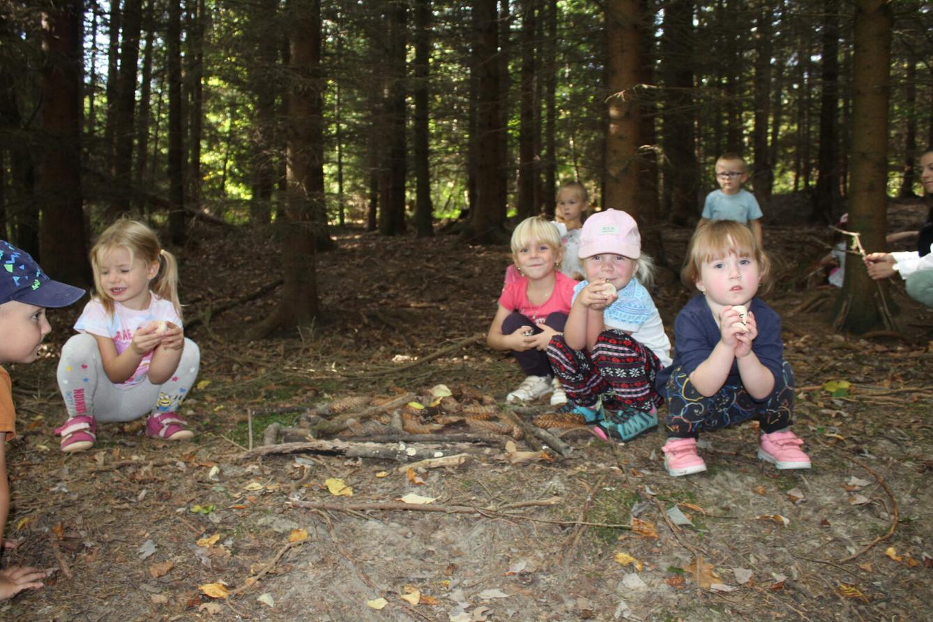 broučci: lesní dobrodružství se sovičkou jůlinkou - 36