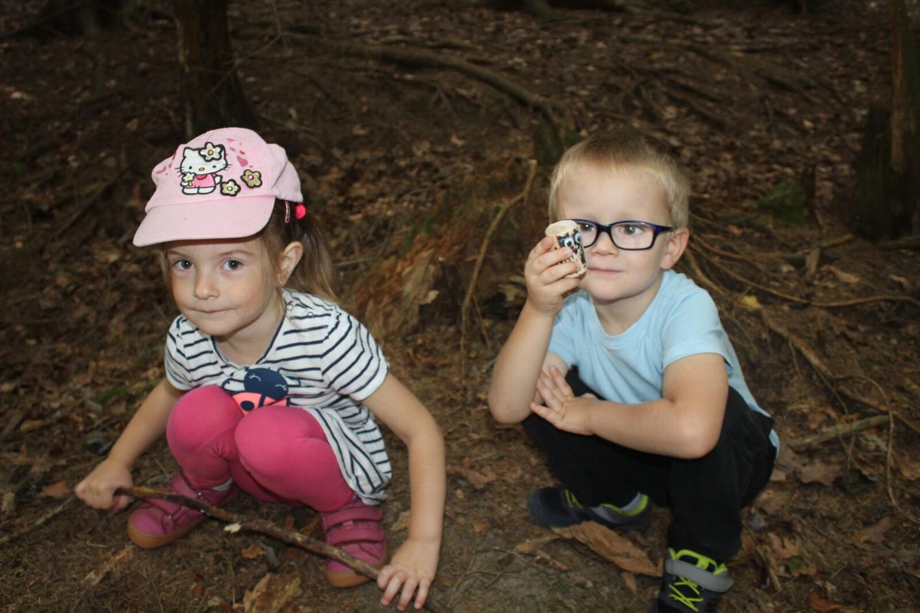 broučci: lesní dobrodružství se sovičkou jůlinkou - 37