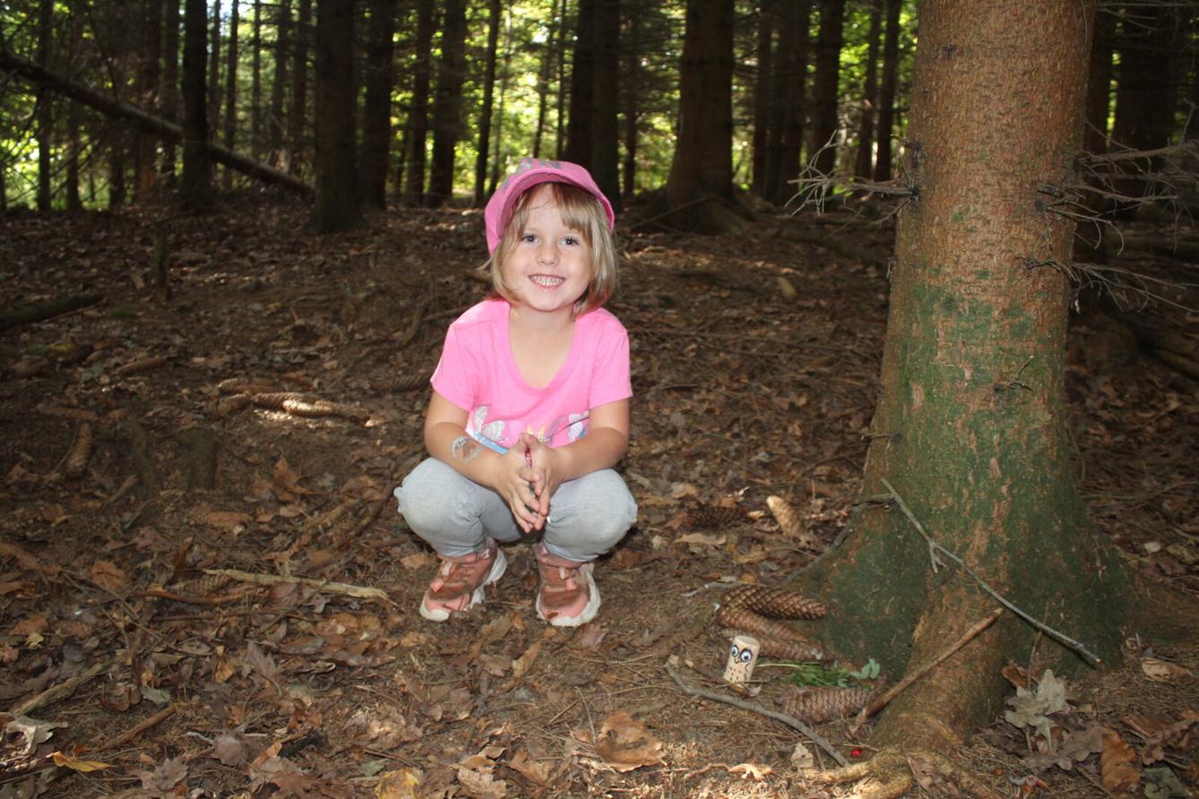 broučci: lesní dobrodružství se sovičkou jůlinkou - 38