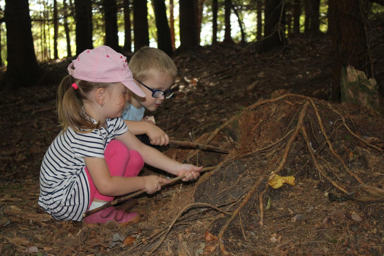 broučci: lesní dobrodružství se sovičkou jůlinkou - 40