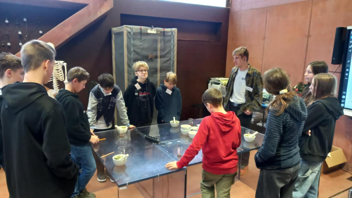 ZŠ Libchavy ve Sféře - 4