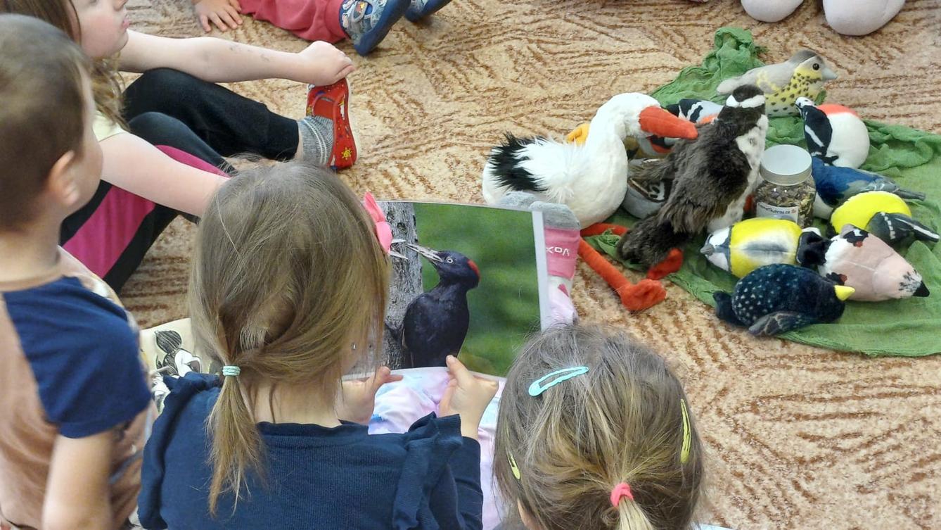 ptačí hodinka s paní šedovou - 7