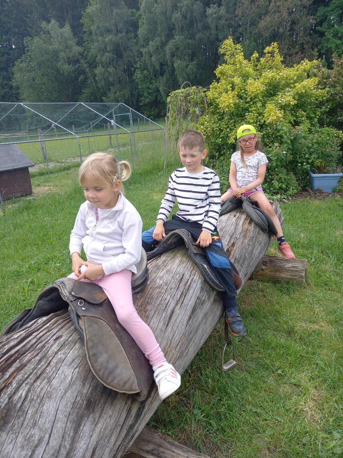 VÝLET NA BABIČČIN STATEK - 78