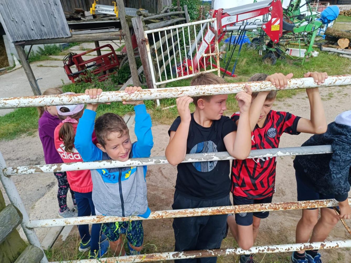 TÝDEN PLNÝ ZÁBAVY II - pátek - 30