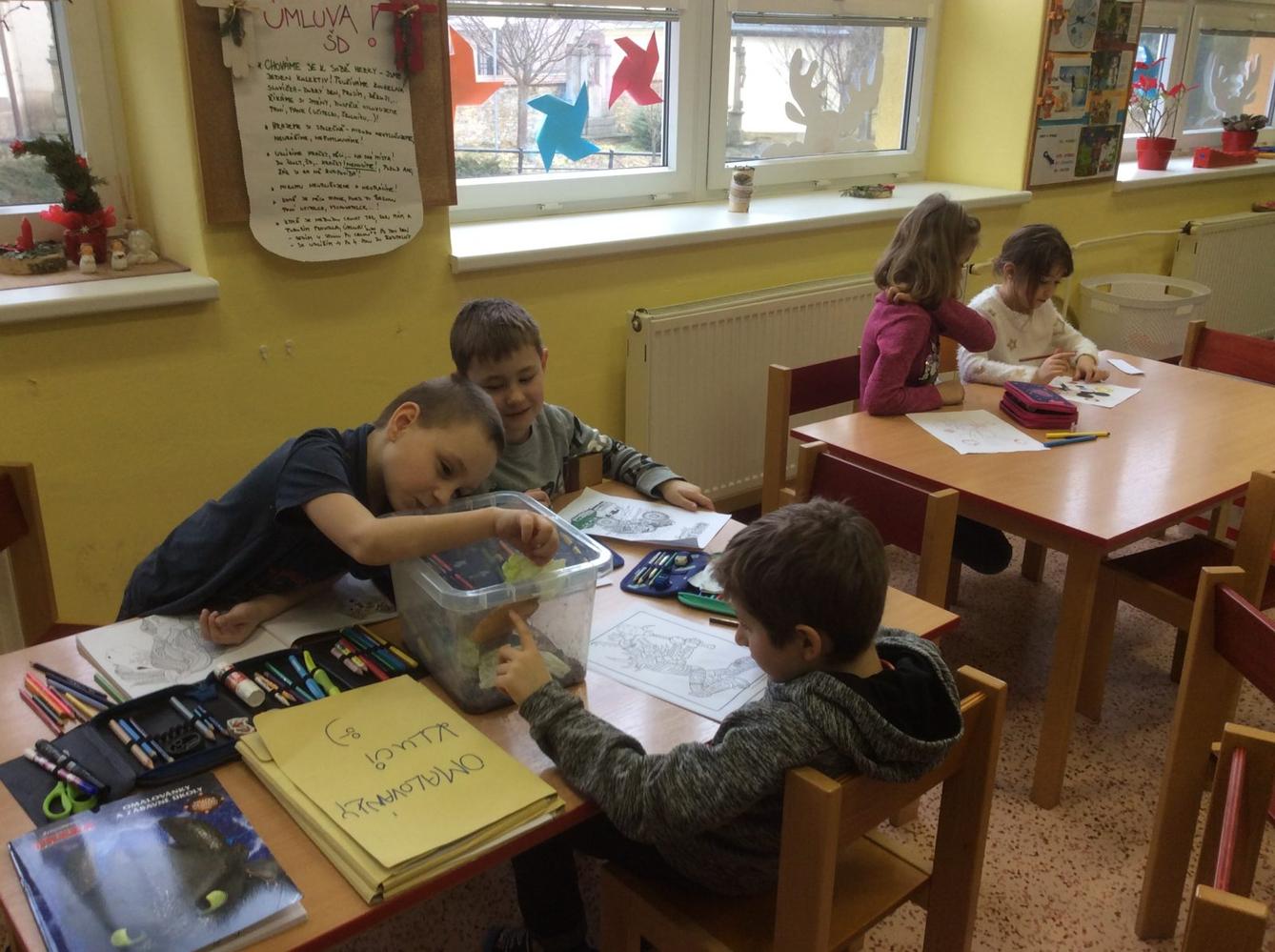 Únor v I. oddělení - 10