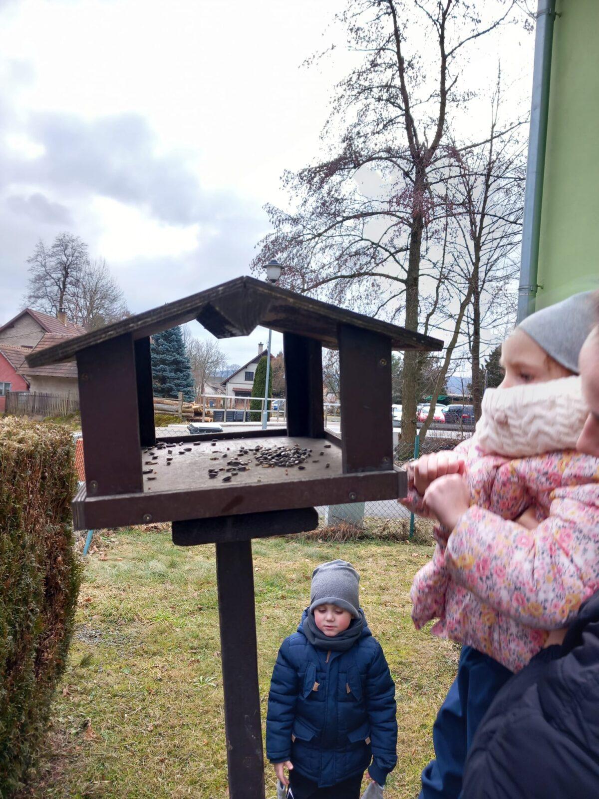 hry na ledu a krmení ptáčků - 9