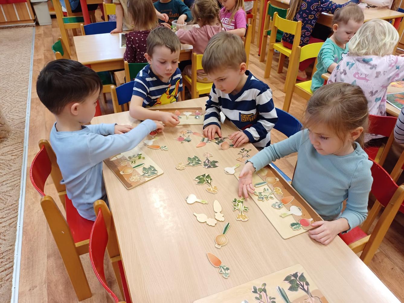 živá zahrada v naší školce - 17