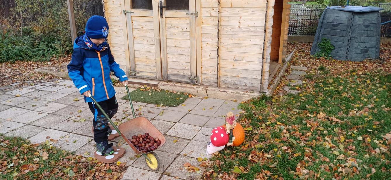 hledání podzimníčků - 15