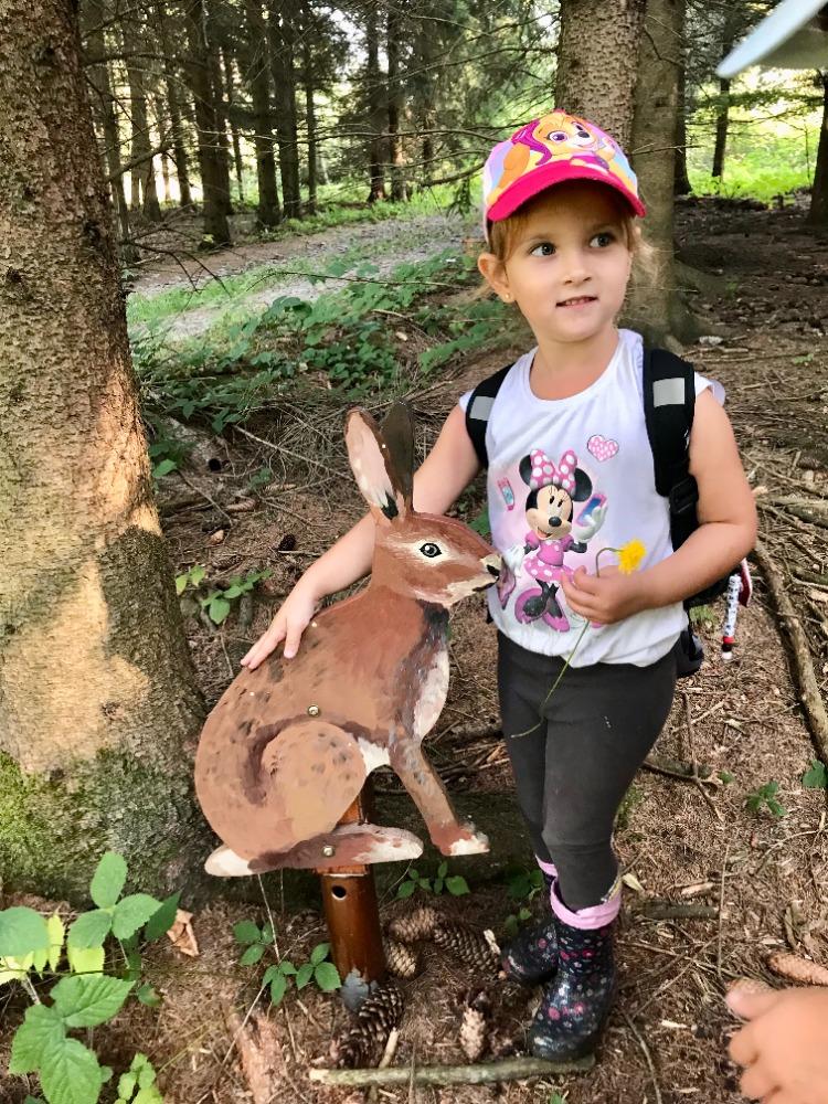 SOVIČKY: VÝPRAVA DO LESA - 26