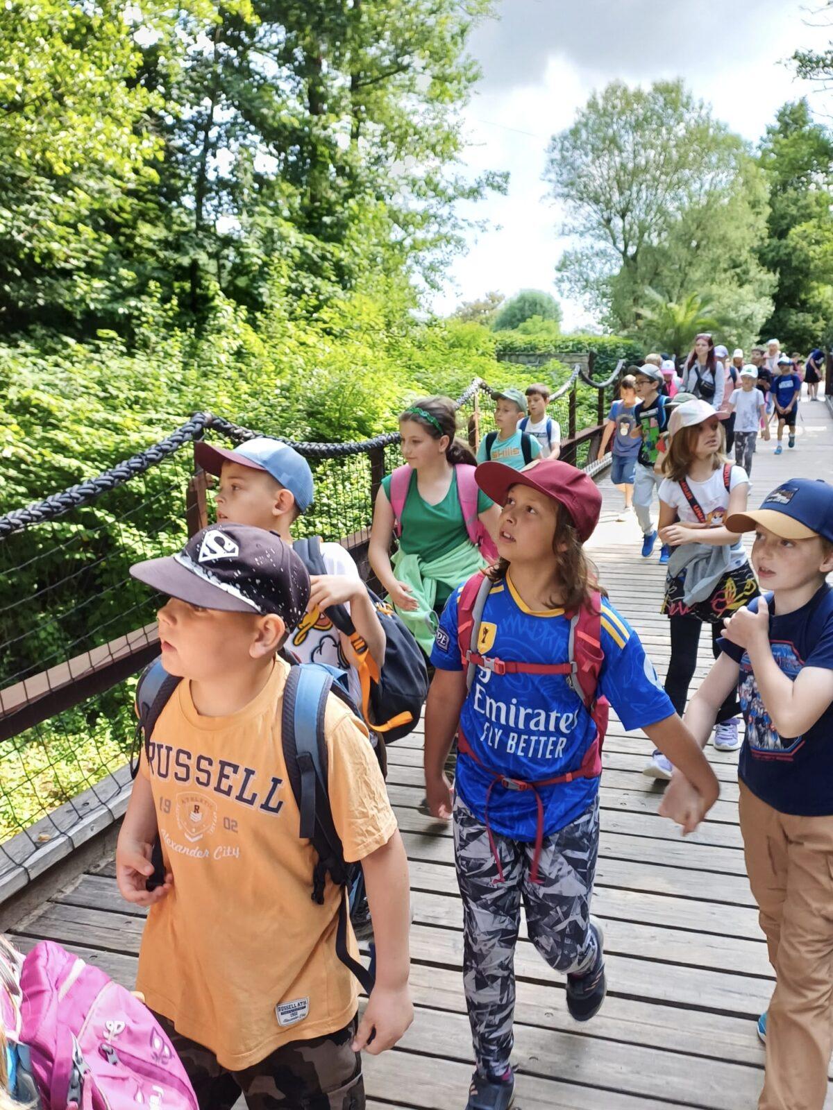 17. 6. Druháčci a třeťáčci v Safari Parku Dvůr Králové - 14