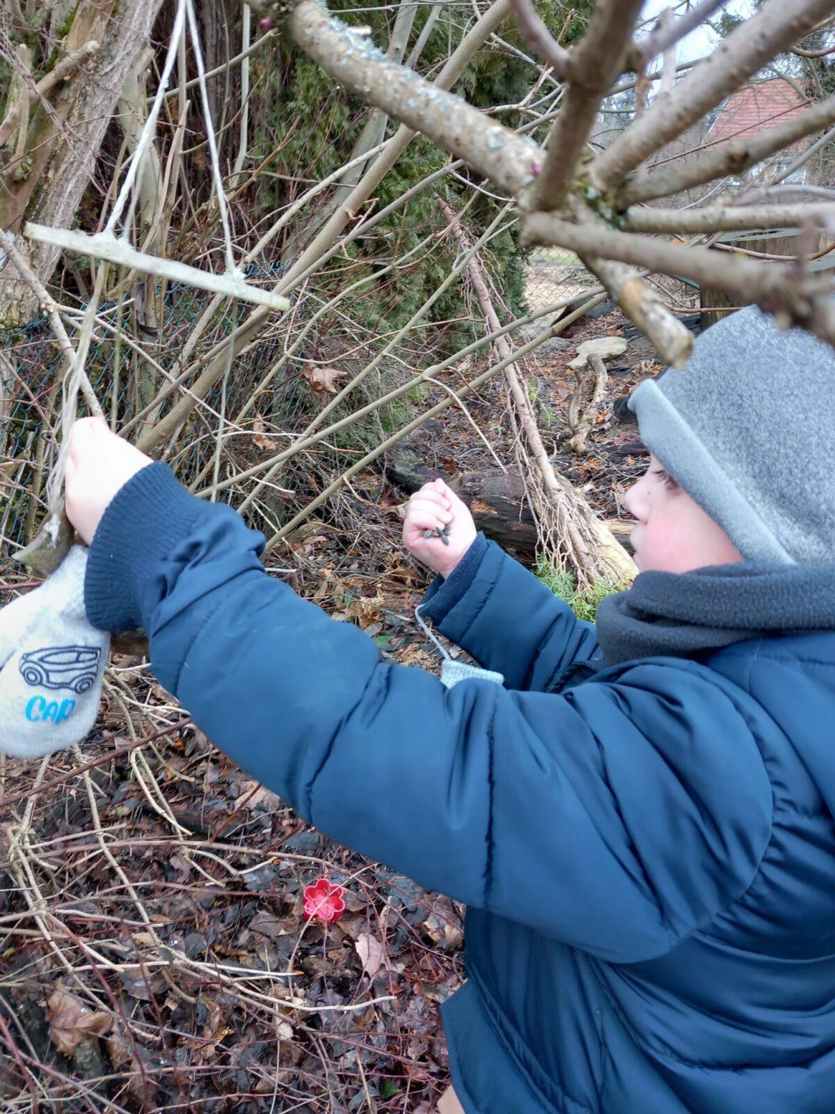 hry na ledu a krmení ptáčků - 10