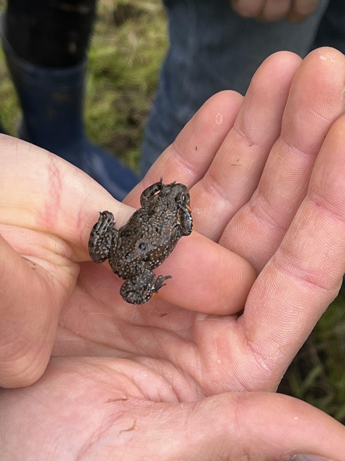 Adaptační pobyt šesťáků- den druhý - 8