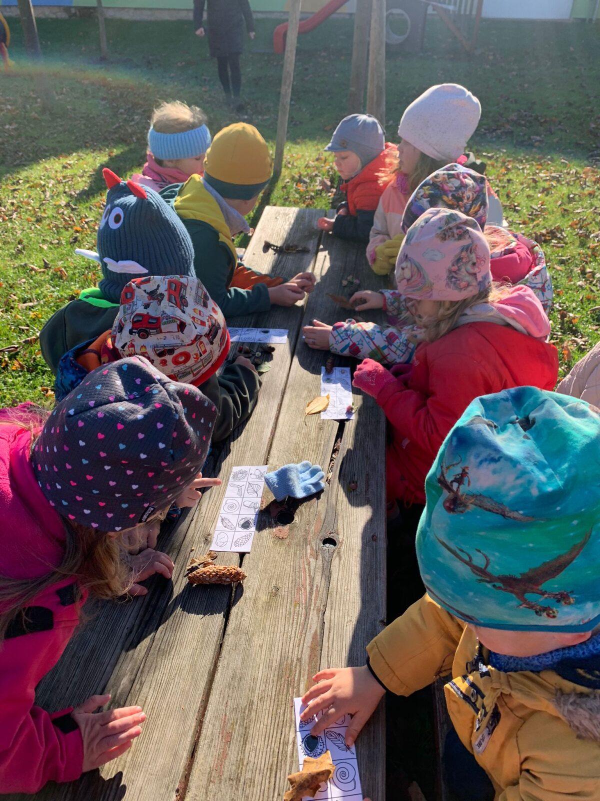 Procházka podzimní přírodou - 7