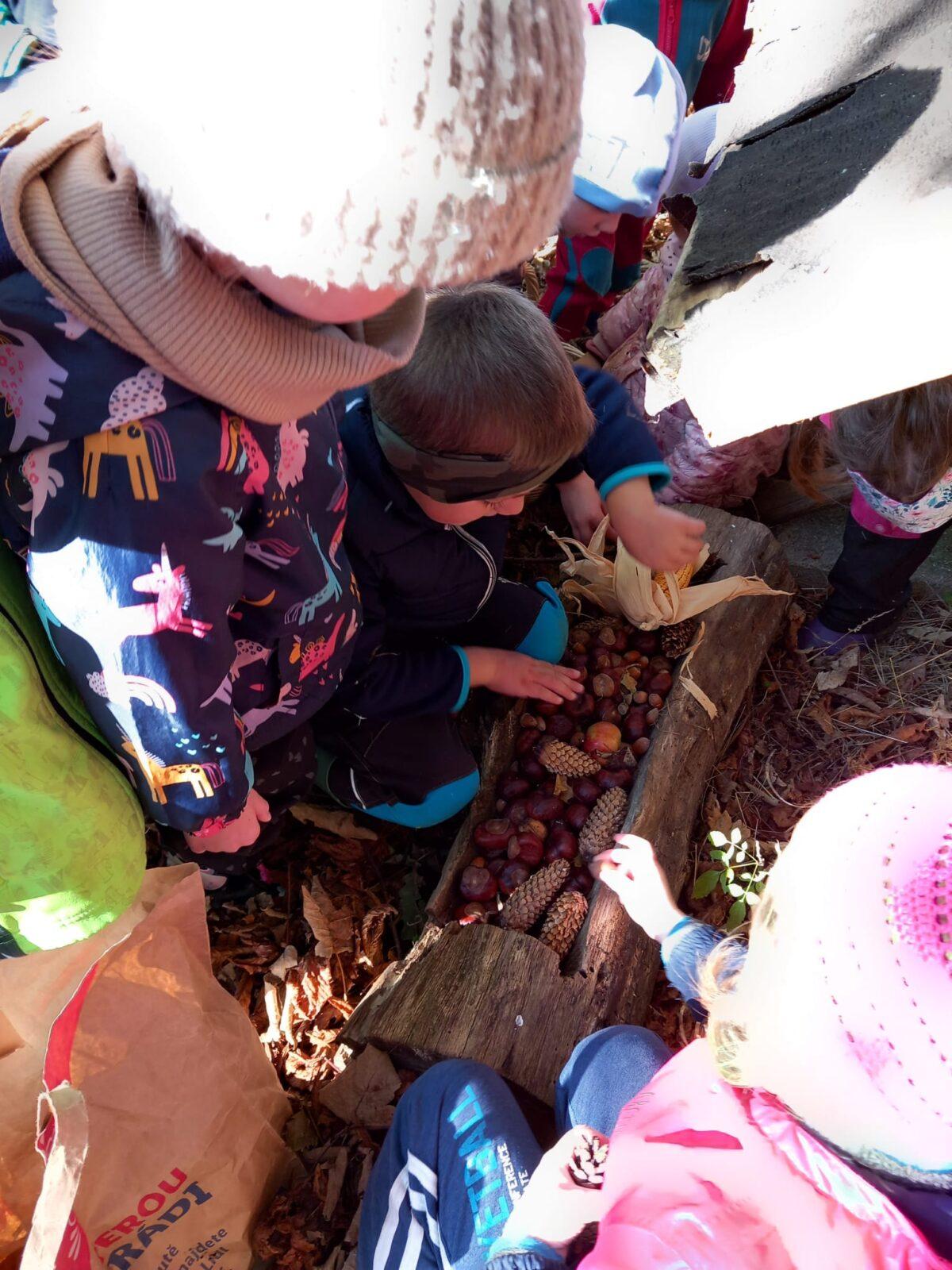 krmení zvířátek v lese - 5