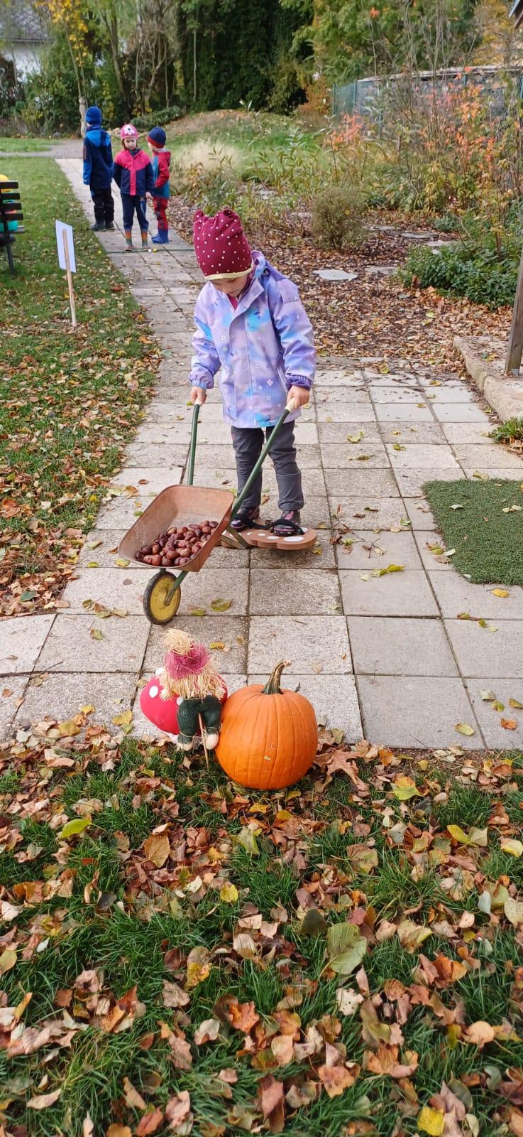 hledání podzimníčků - 17