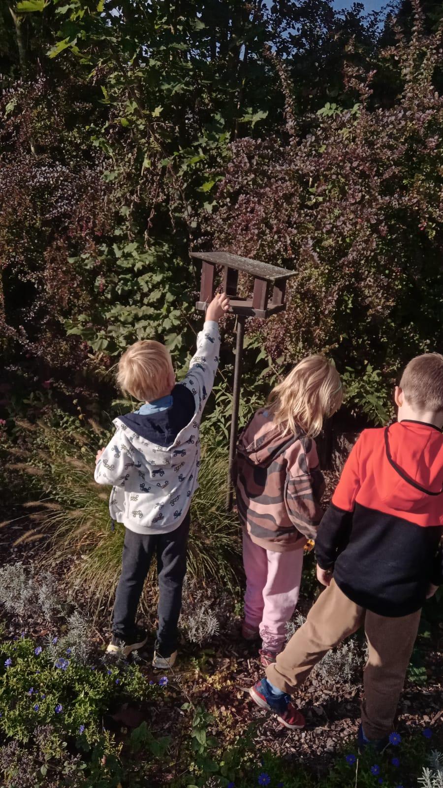 Ohníčkohraní a pečení brambor... - 23