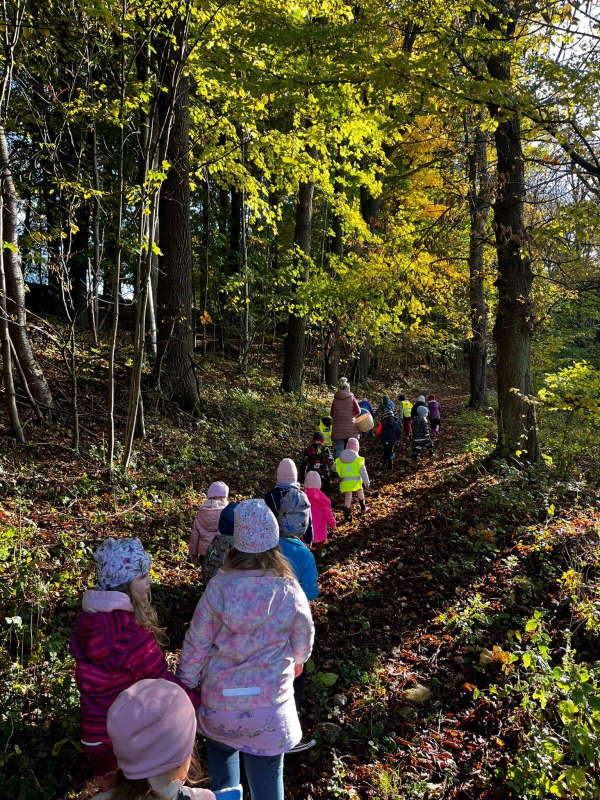 procházka do kaštánky - 10