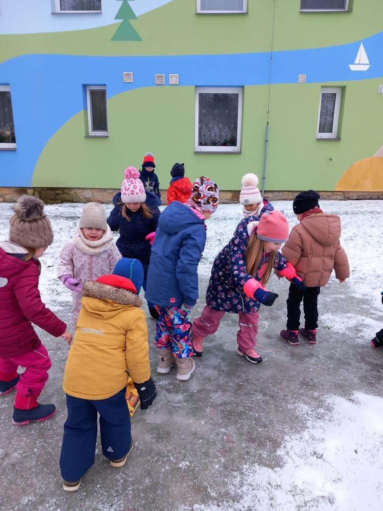 hry na ledu a krmení ptáčků - 12