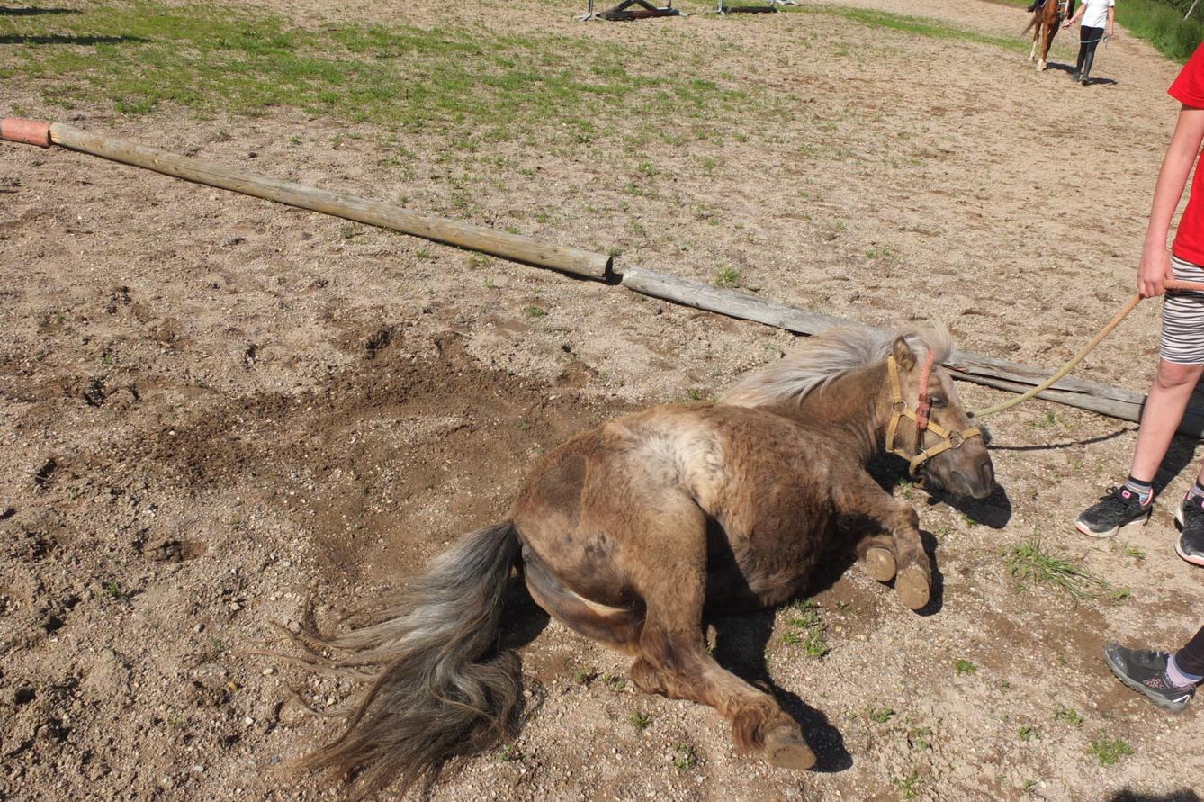 Na koních 2019 - 22