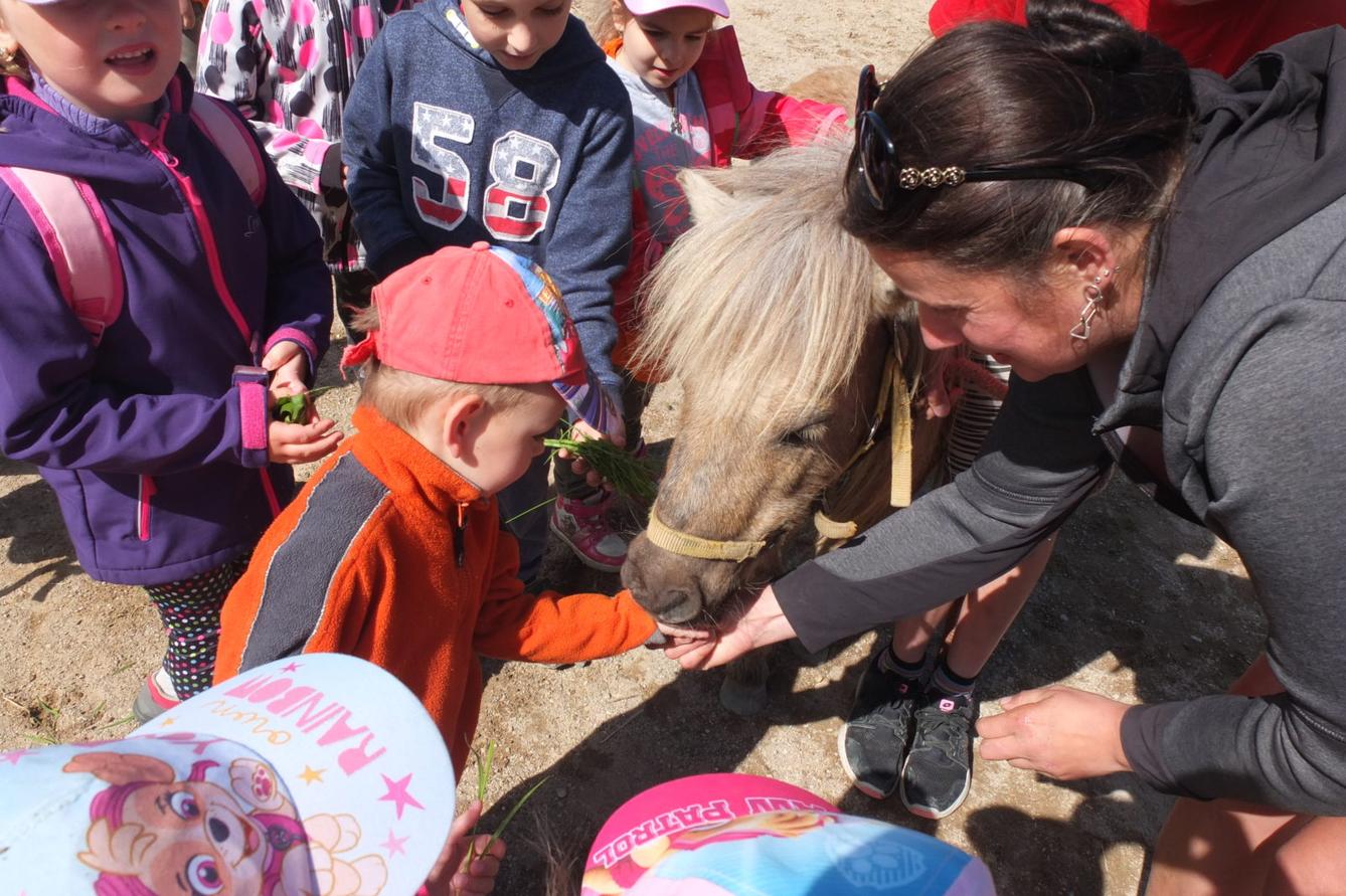 Na koních 2019 - 52