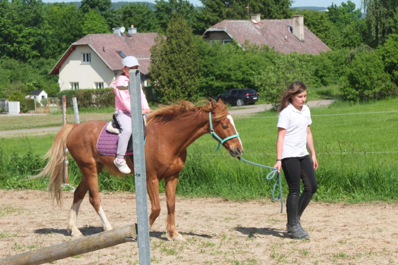 Na koních 2019 - 58