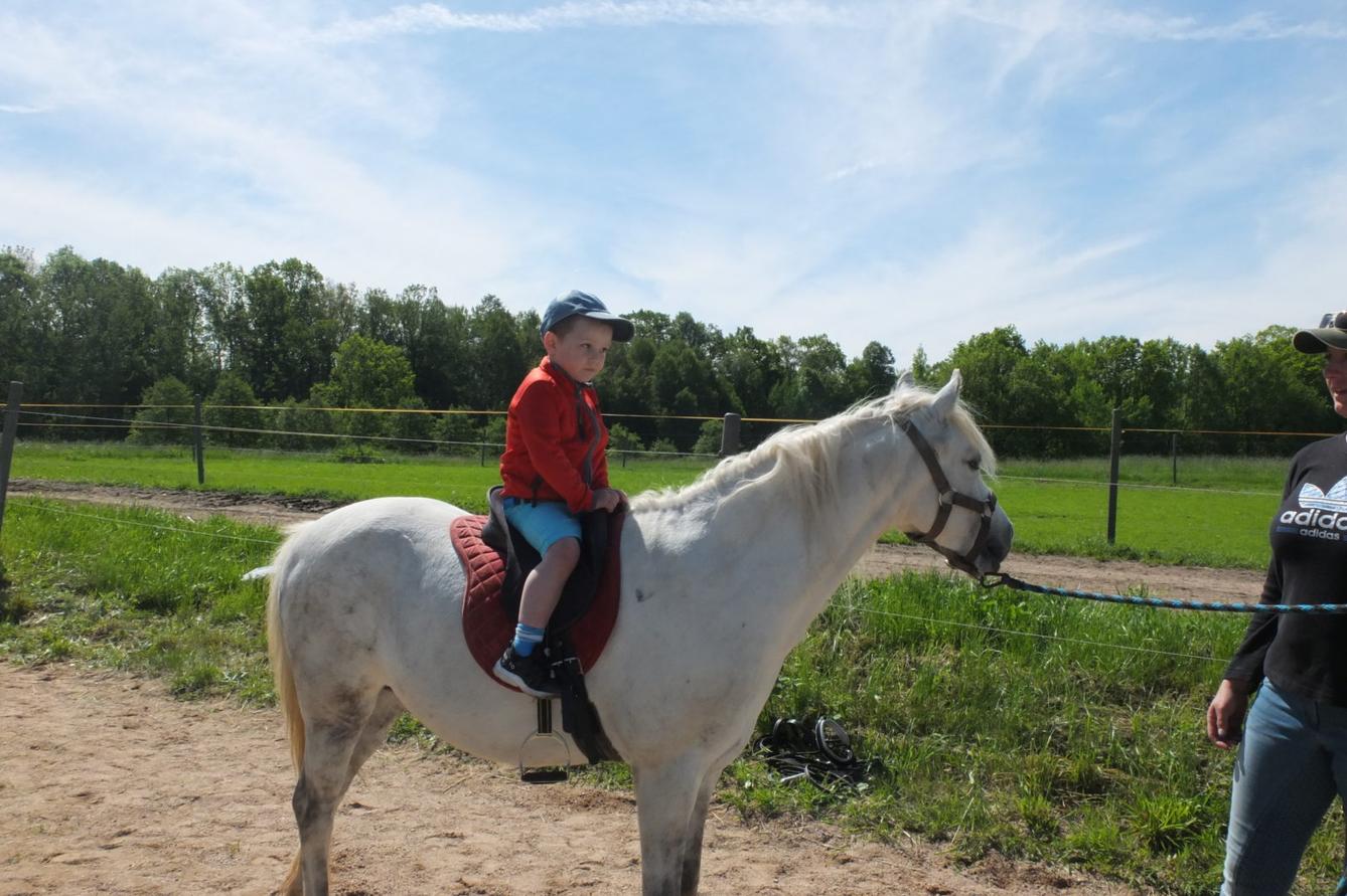 Na koních 2019 - 70