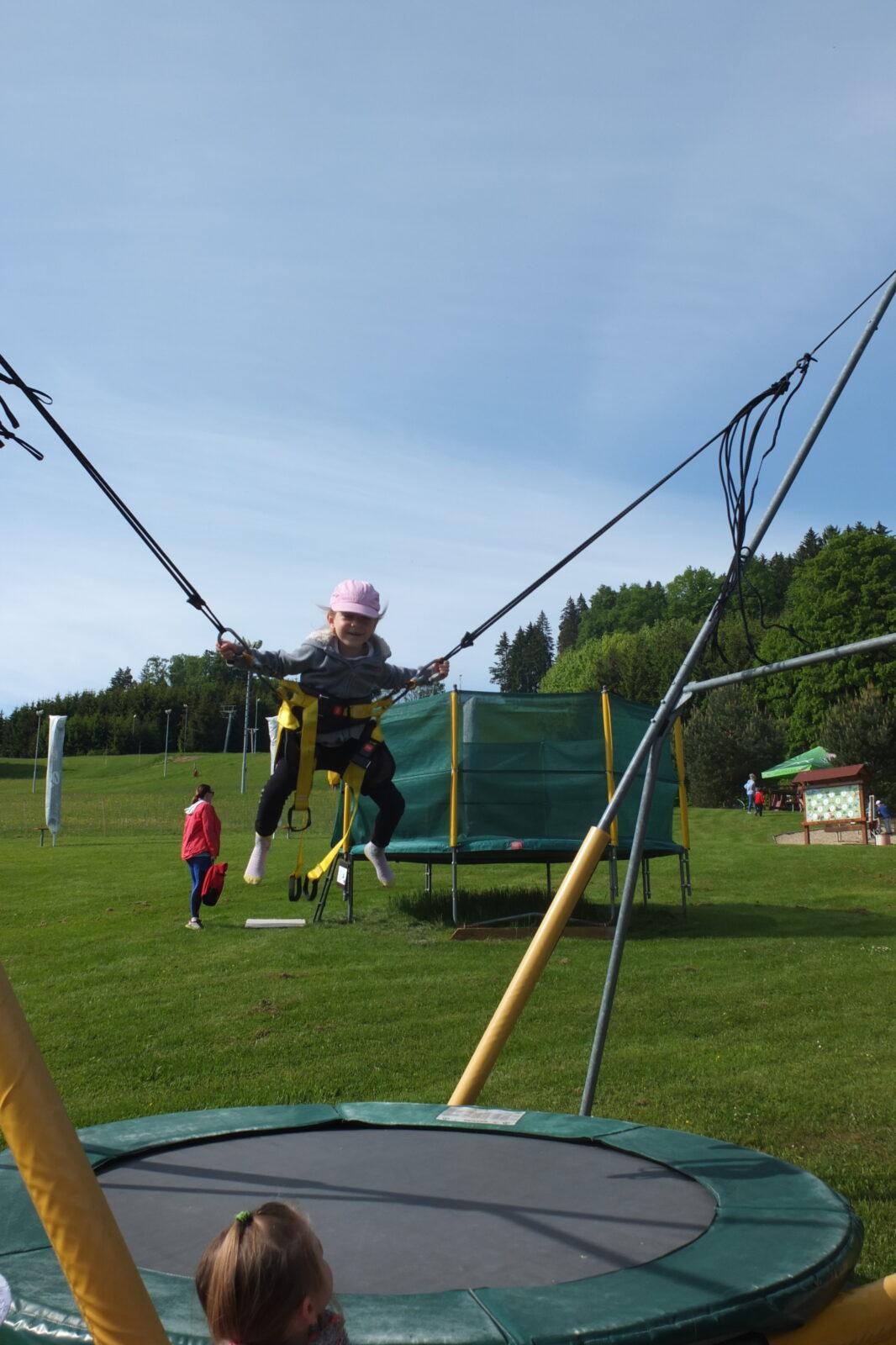 Výlet do Pinguin parku - 1