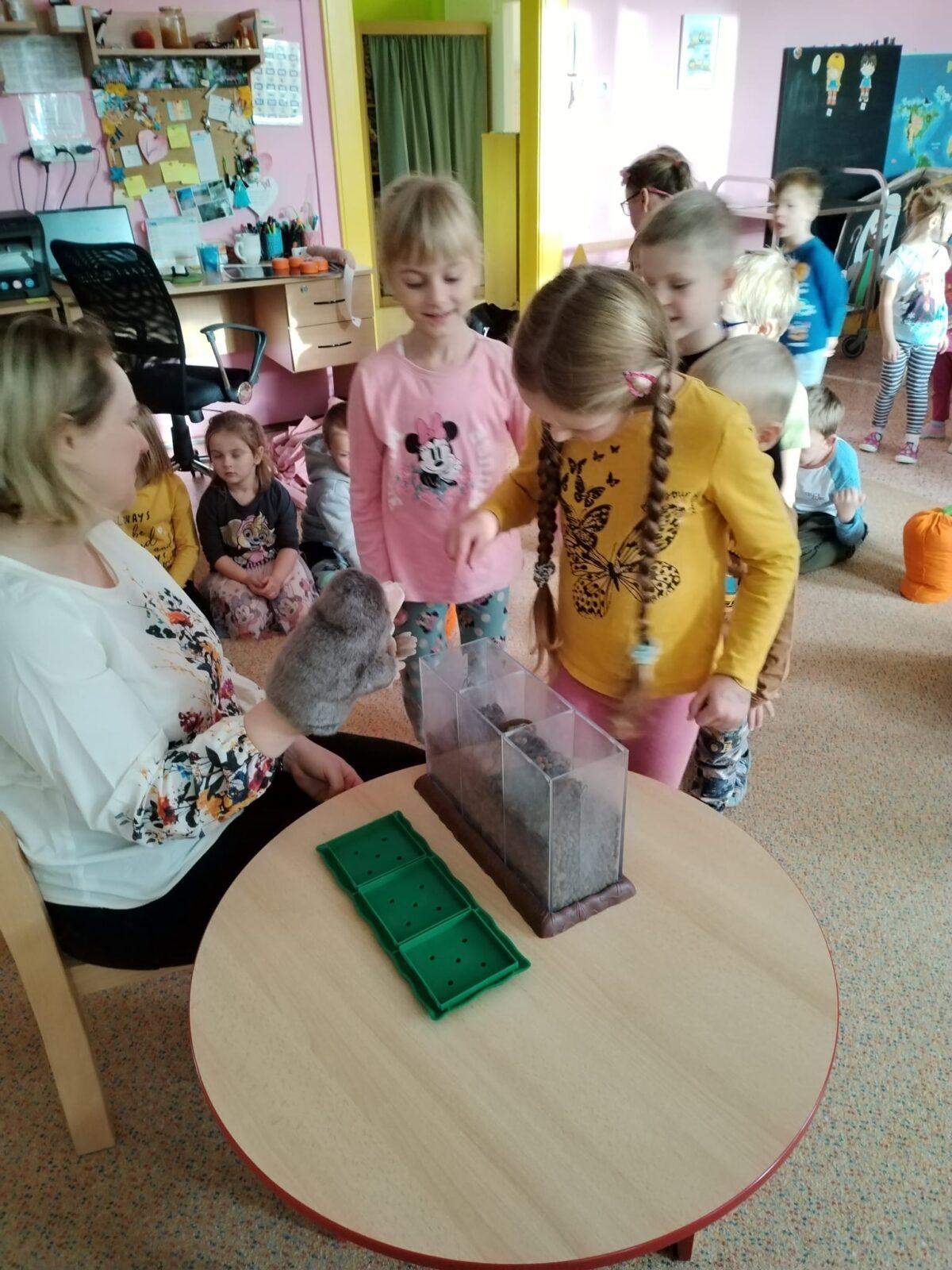 Vzdělávací program "Krteček" :-) - 11