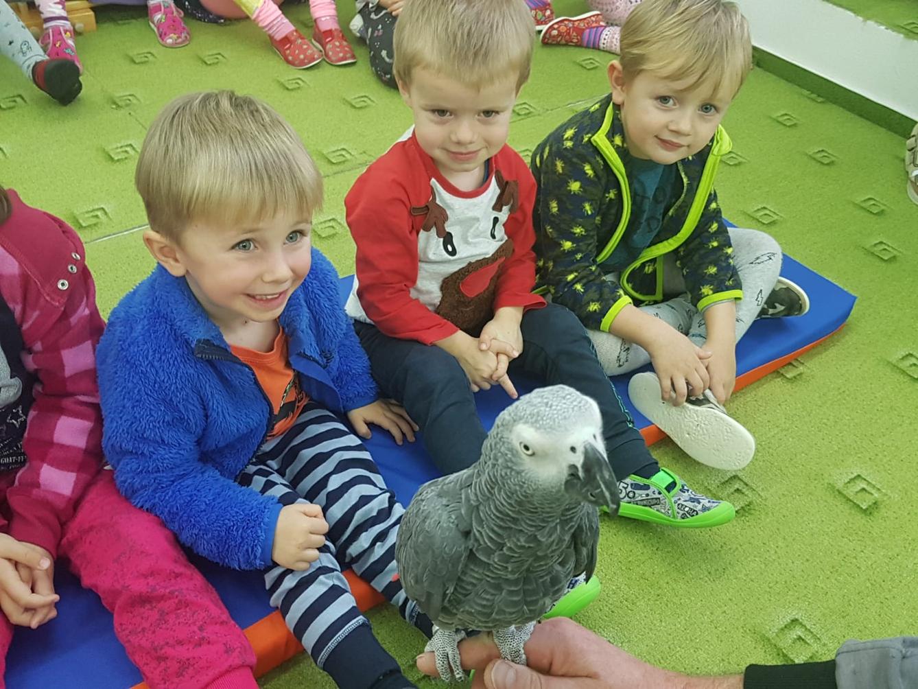 Papoušci v MŠ - 18
