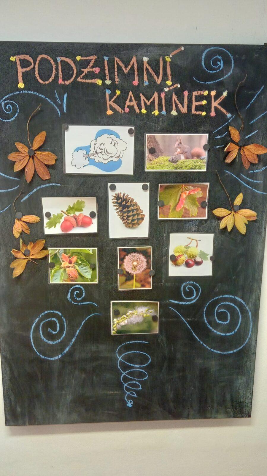 Podzimní kamínek u Námořníků - 45