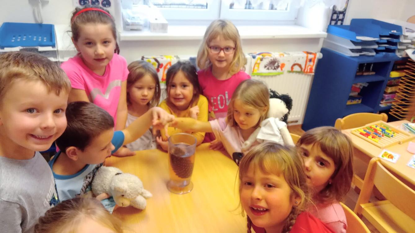 Podzimní kamínek u Námořníků - 46