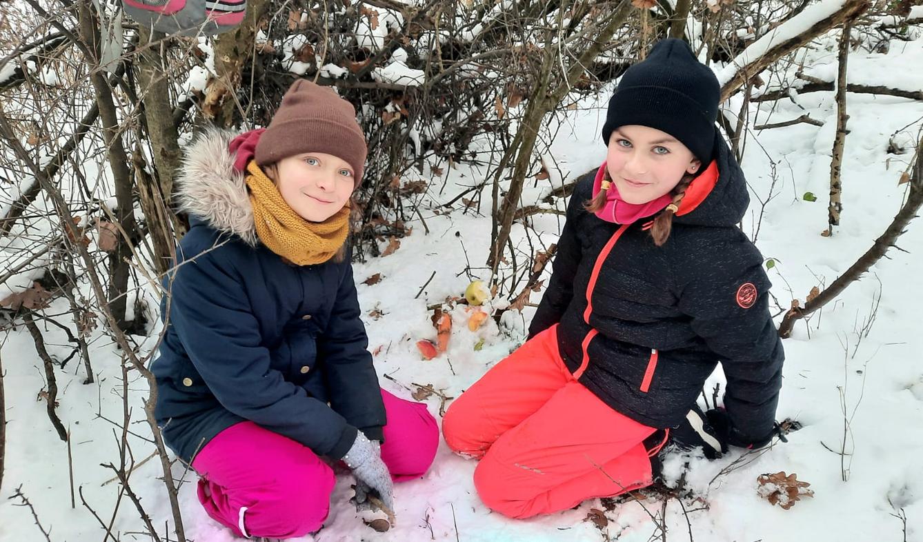 Vánoční les na 1. stupni - 24